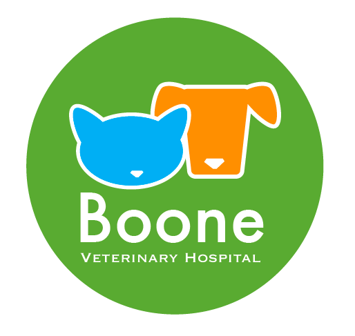 Logo Design by TSEdesign for this project | Design #4581596