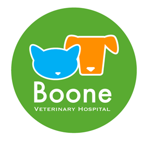 Logo Design by TSEdesign for this project | Design #4581596