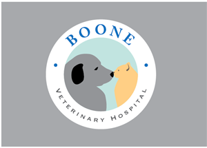 Logo Design by TSEdesign
