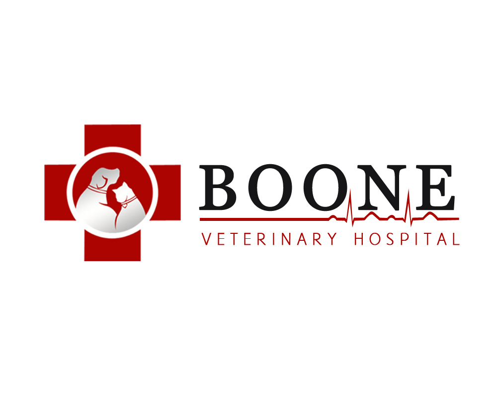 Logo Design by The Creative Forge Studio for this project | Design: #4613867