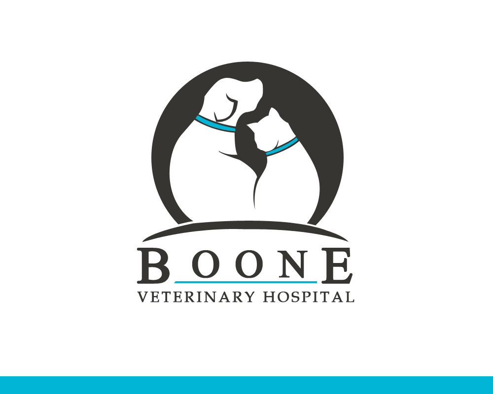 Logo Design by The Creative Forge Studio for this project | Design #4619309