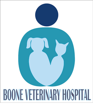 Logo Design by Acetrik