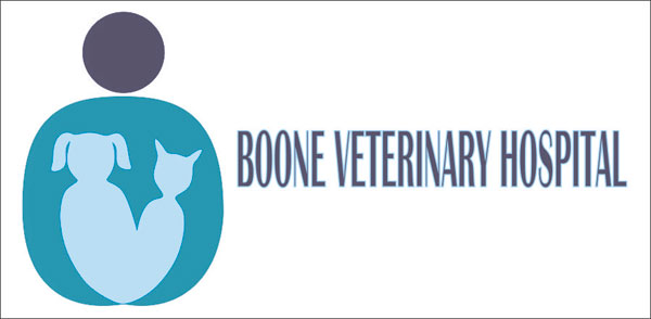 Logo Design by Acetrik for this project | Design #4582697