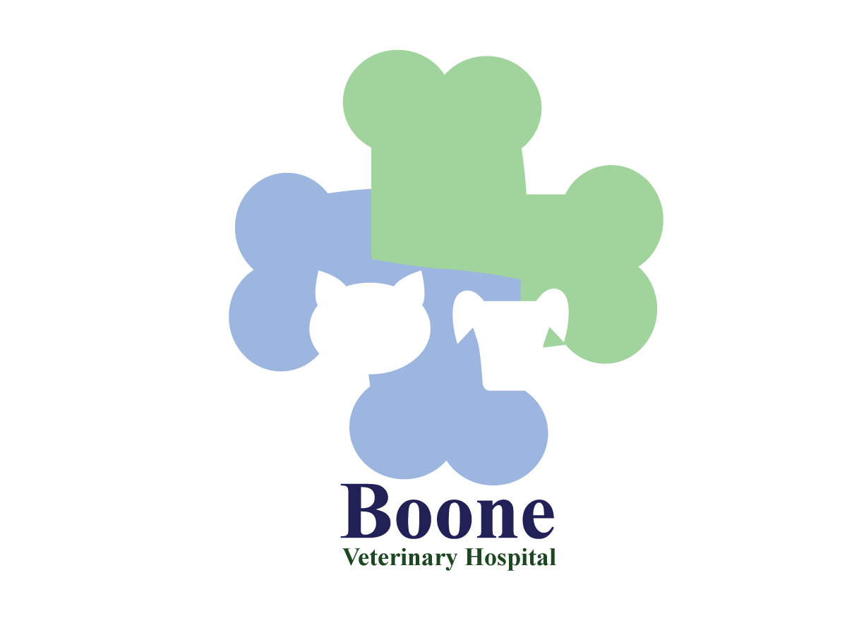 Design de Logo par kim_petiza pour ce projet | Design #4581758
