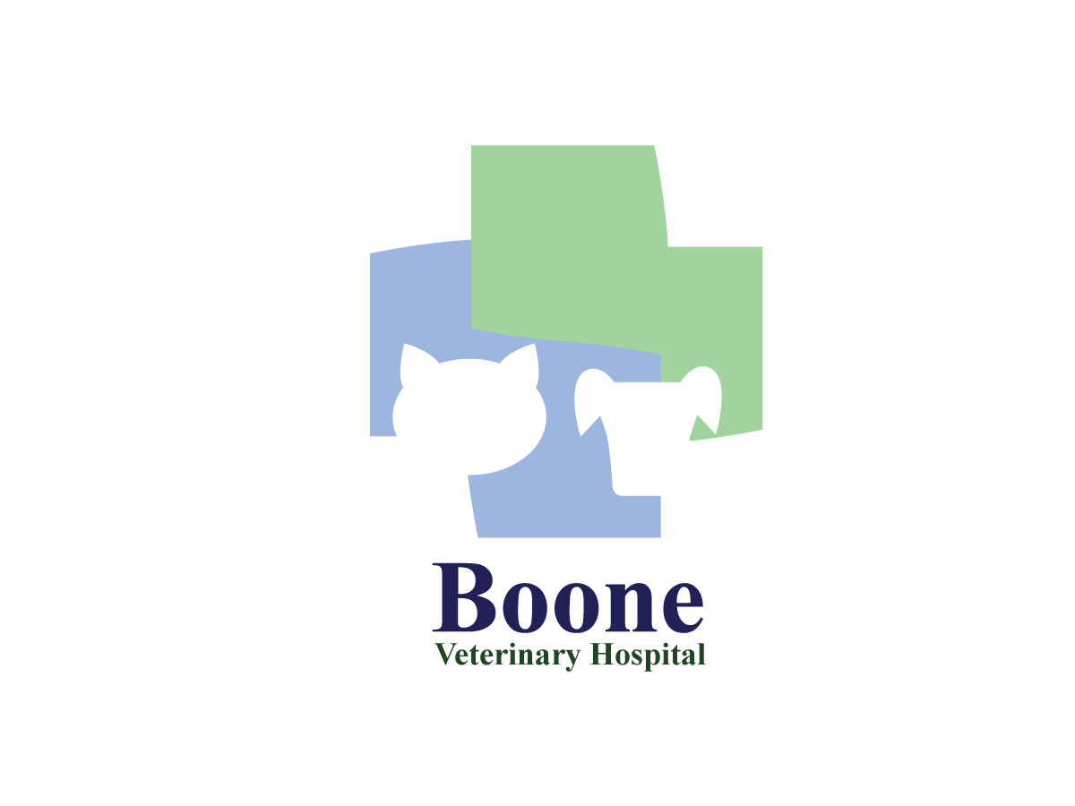 Logo Design by kim_petiza for this project | Design #4581782