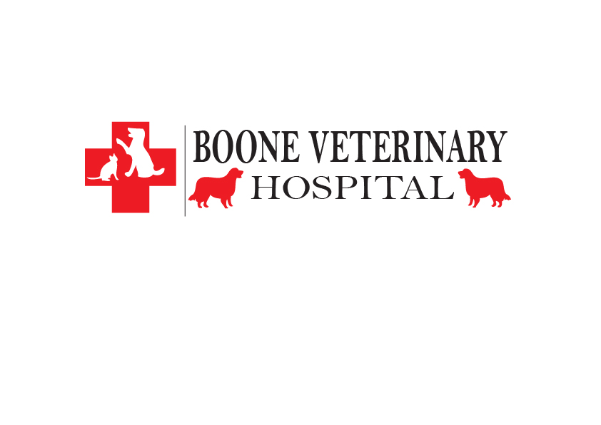 Logo Design by Perfect Designer for this project | Design #4638792