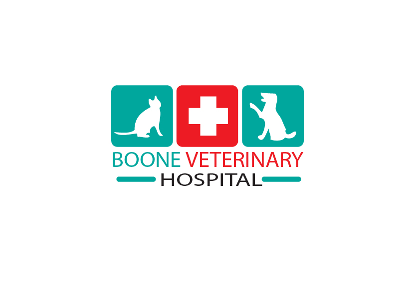 Logo Design by Perfect Designer for this project | Design #4639108