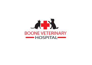 Logo Design by Perfect Designer