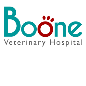 Logo Design by Thomasdesign for this project | Design #4607498