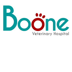 Logo Design by Thomasdesign for this project | Design: #4607501