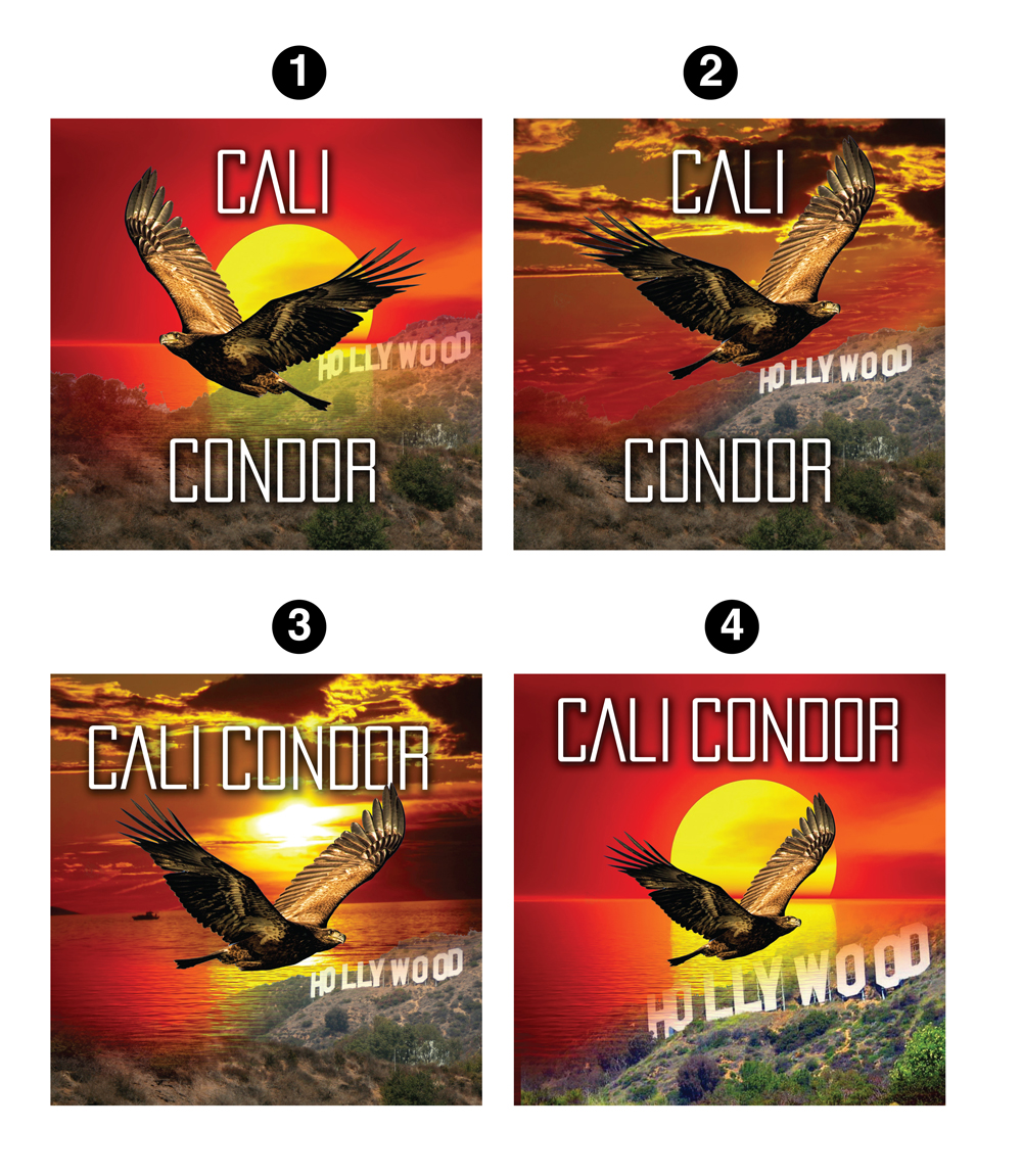 Graphic Design by selindefne19750505 for Speck Gear | Design #4606995