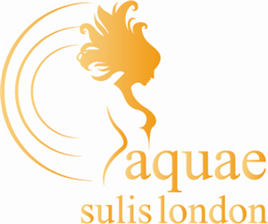 Logo Design by chandrahalim