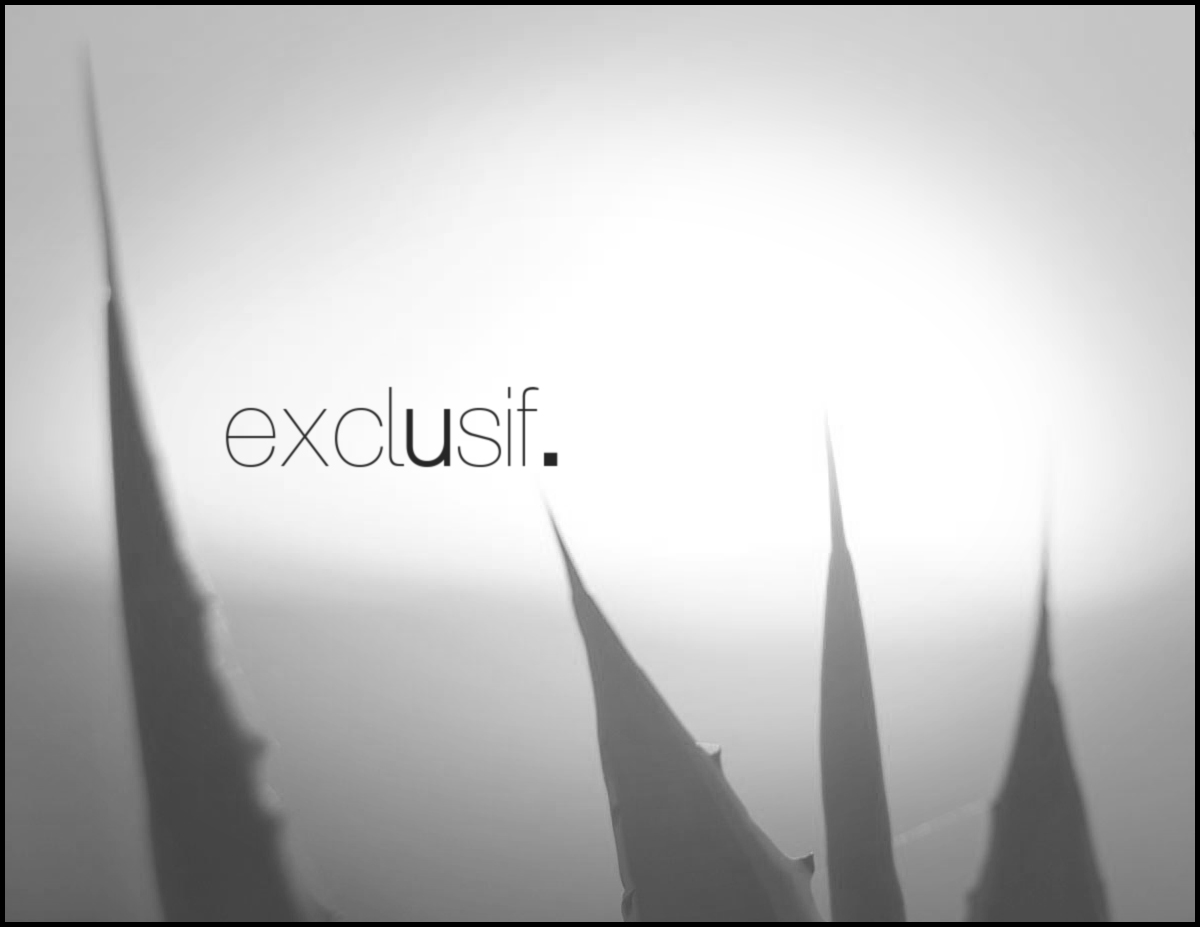 Design de Logo par davidcreative pour Exclusif  | Design #4582100