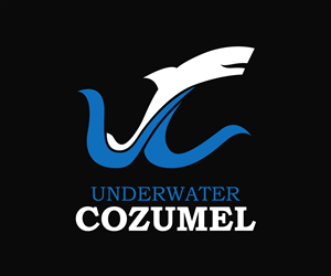 Logo Design by Pedyson