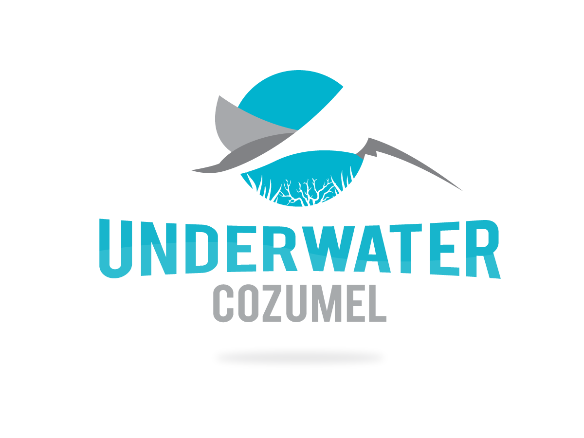 Logo Design by Morfious for Rytmika | Design #4719412