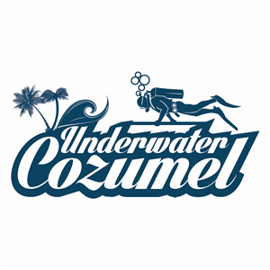 Logo Design by Raheel Saeed