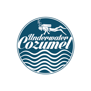 Logo-Design von Raheel Saeed für Rytmika | Design: #4636653