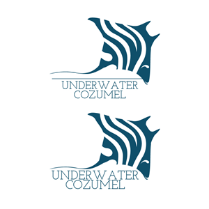 Logo-Design von Raheel Saeed für Rytmika | Design: #4636866