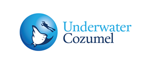 Design de Logo par Innerworld Designs ltd. pour Rytmika | Design #4709172