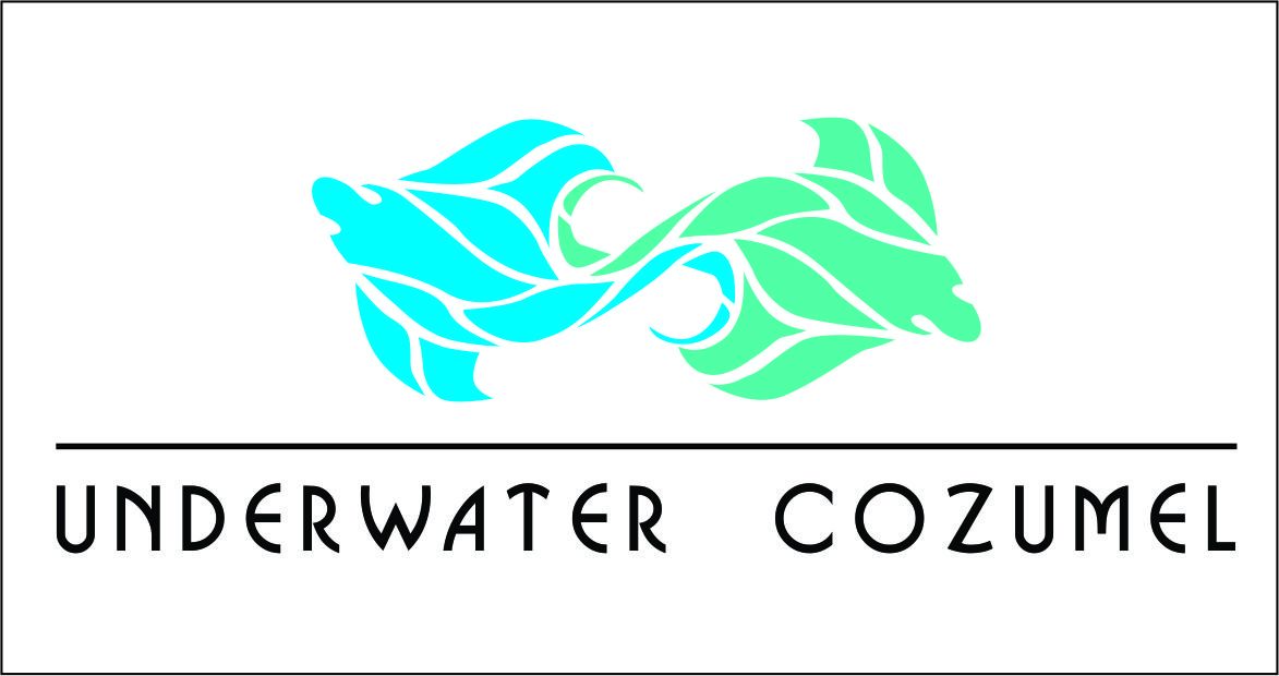 Logo Design by Allan Poe for Rytmika | Design #4639046