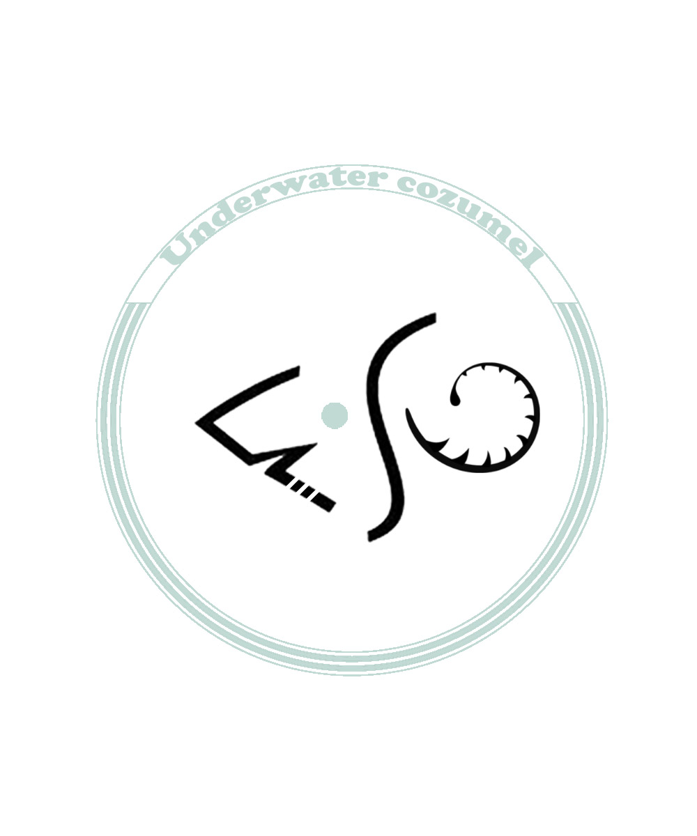 Design de Logo par emageiraarch pour Rytmika | Design #4602237