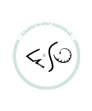 Logo Design by emageiraarch for Rytmika | Design: #4602237