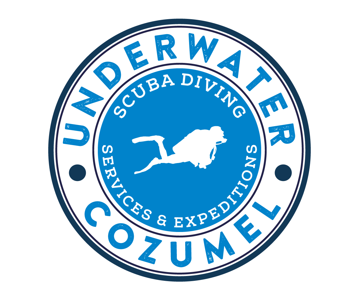 Logo-Design von stakesishigher für Rytmika | Design #4701331