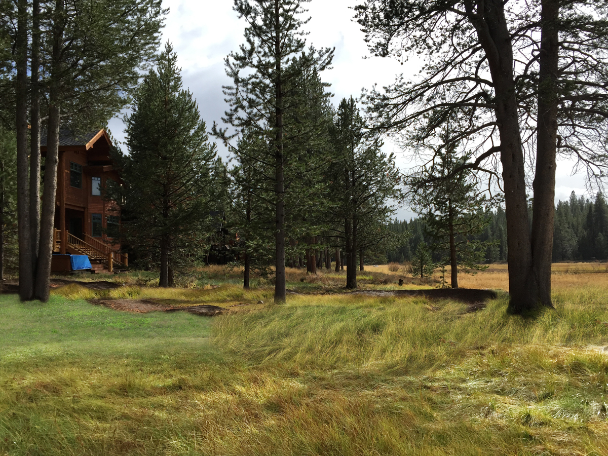 Photoshop Design by cornel888 for this project | Design #4614936