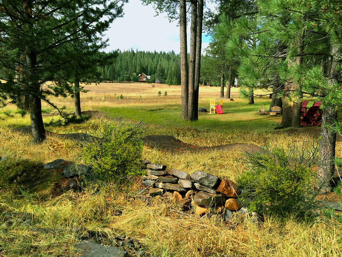 Photoshop Design by Tavakoli  for this project | Design #4610391