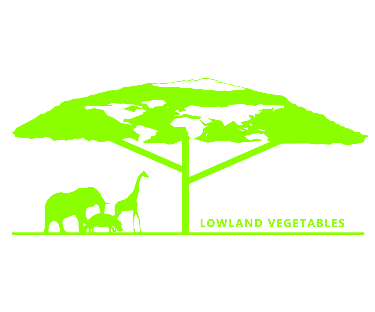 Logo-Design von Lucas Ngan für dieses Projekt | Design #4601515