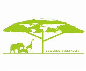 Logo Design by Lucas Ngan for this project | Design: #4601515