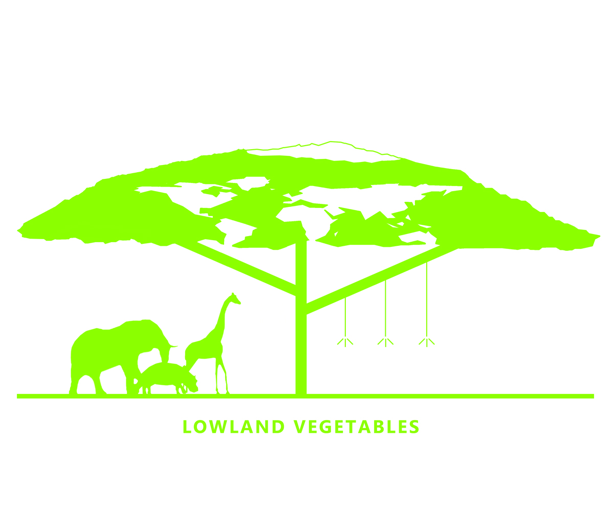 Logo-Design von Lucas Ngan für dieses Projekt | Design #4601541