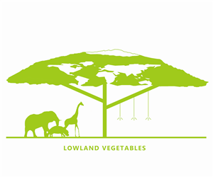 Logo Design by Lucas Ngan for this project | Design: #4601541
