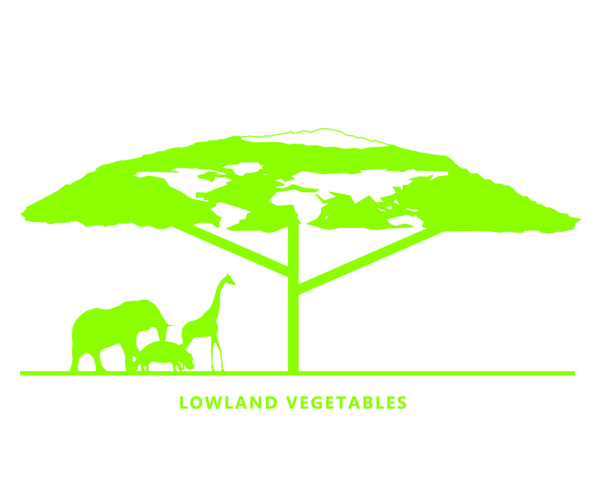 Logo-Design von Lucas Ngan für dieses Projekt | Design #4601548