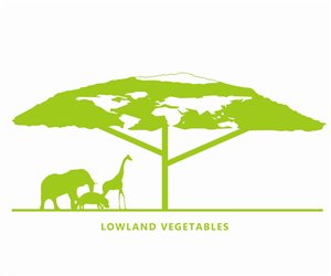 Logo Design by Lucas Ngan for this project | Design: #4601548