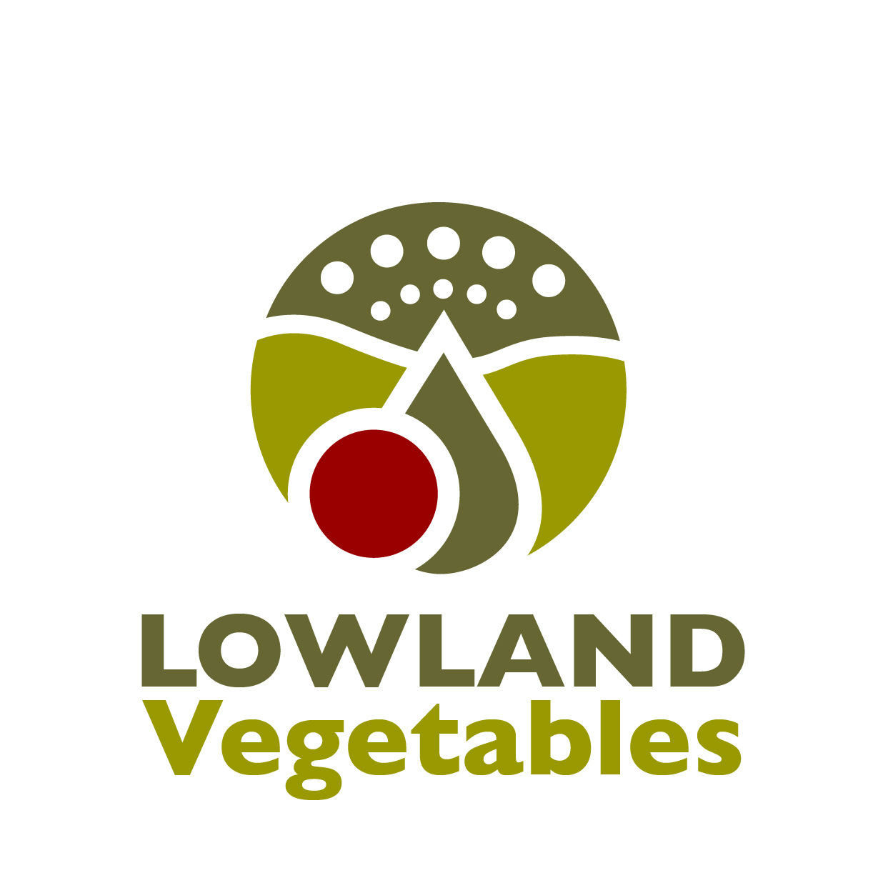 Logo-Design von Thomasdesign für dieses Projekt | Design #4647953