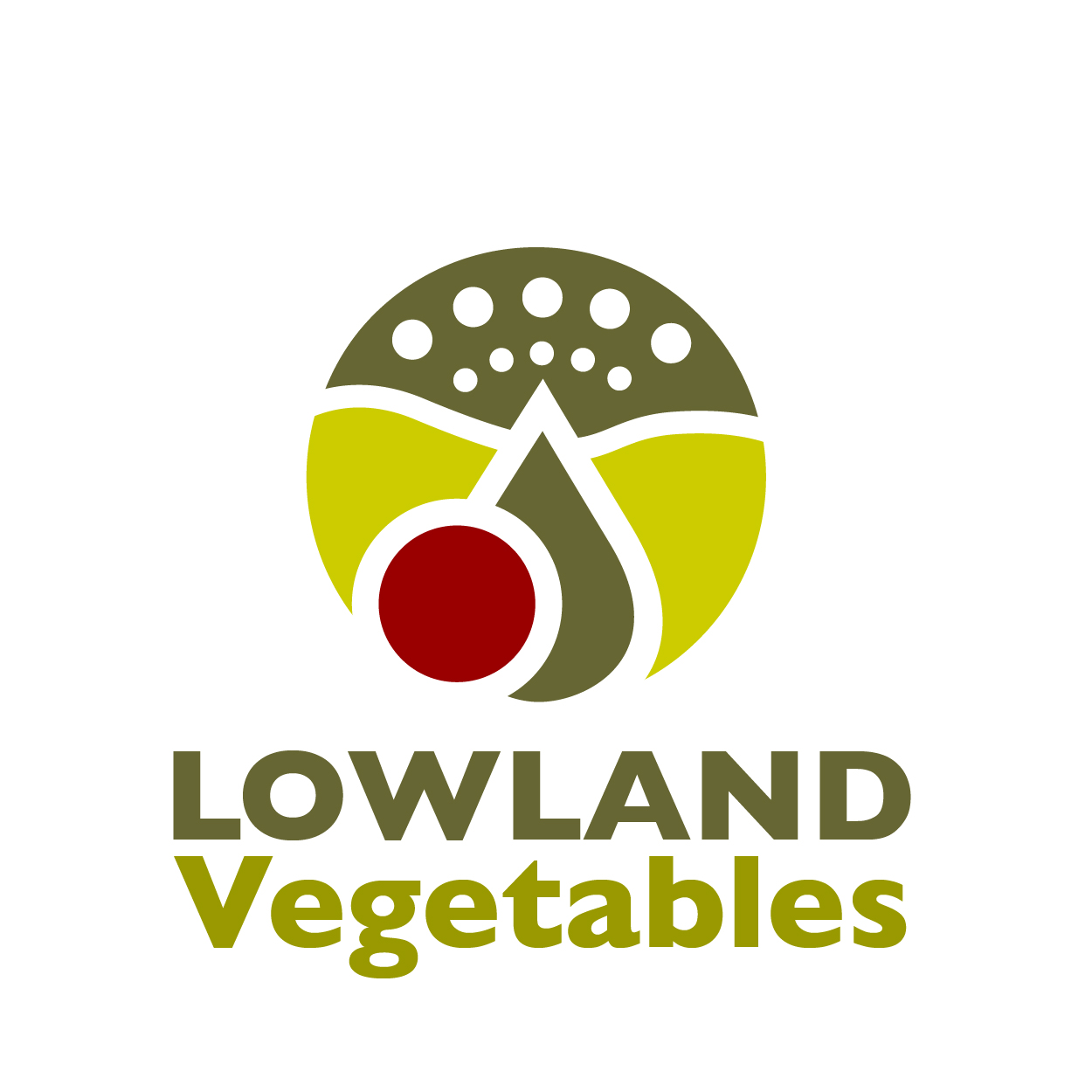 Logo-Design von Thomasdesign für dieses Projekt | Design #4647961