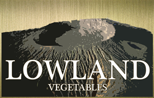 Logo Design by David Winwood for this project | Design #4666740