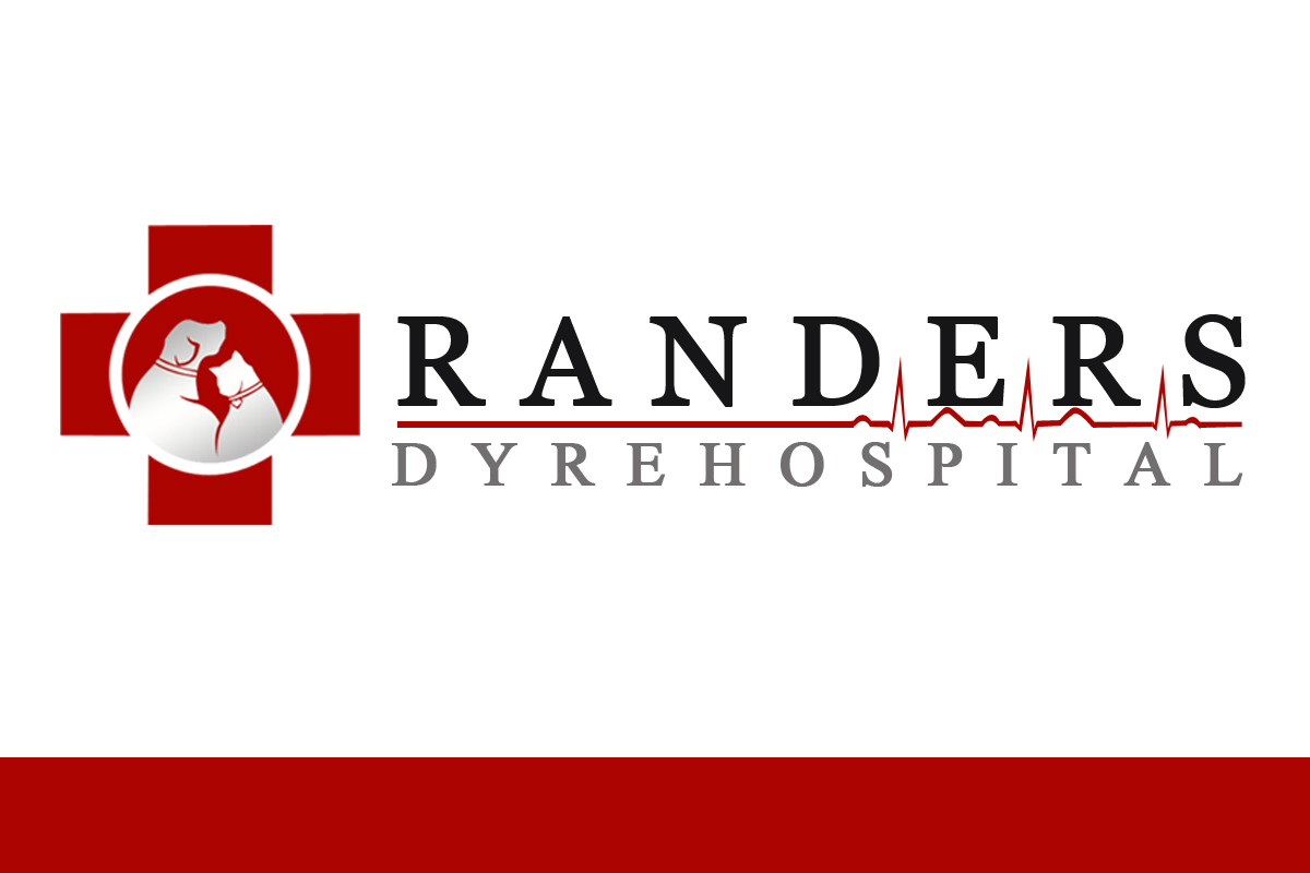 Design de Logo par The Creative Forge Studio pour ce projet | Design #4619855