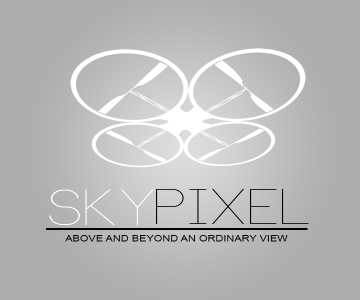 Logo Design by Plaguedguardian for this project | Design #4642387