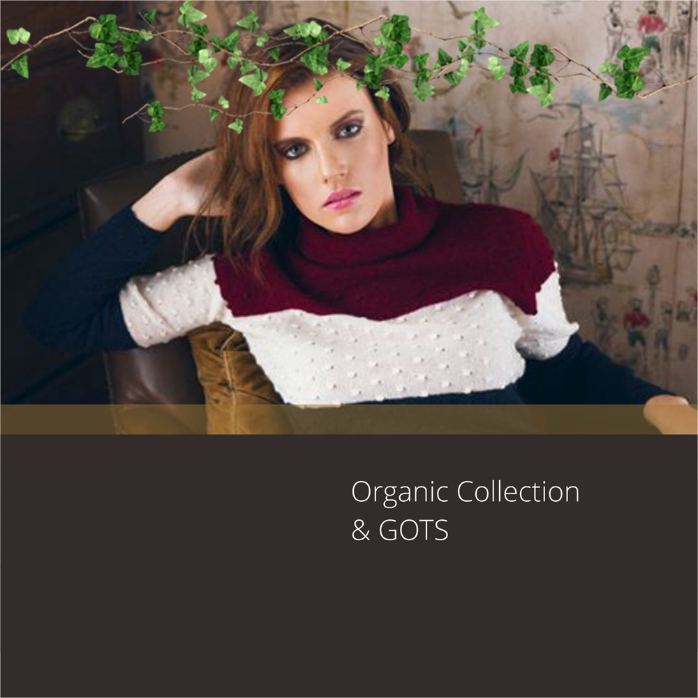 Diseño de Catálogo por barinix para este proyecto | Diseño #4597540