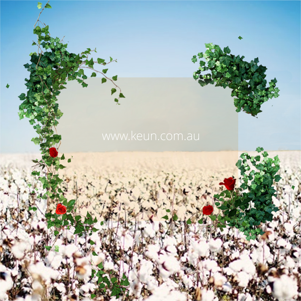 Catalogue Design by barinix for this project | Design #4597566