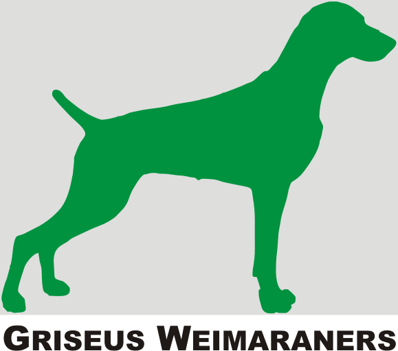 Logo Design by Alireza Mirzaei for Griseus | Design #209750