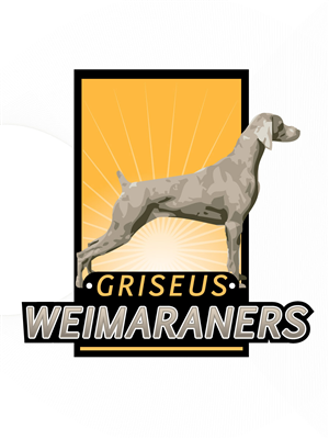 Logo Design by WAkland for Griseus | Design: #226016
