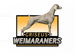 Logo Design by WAkland