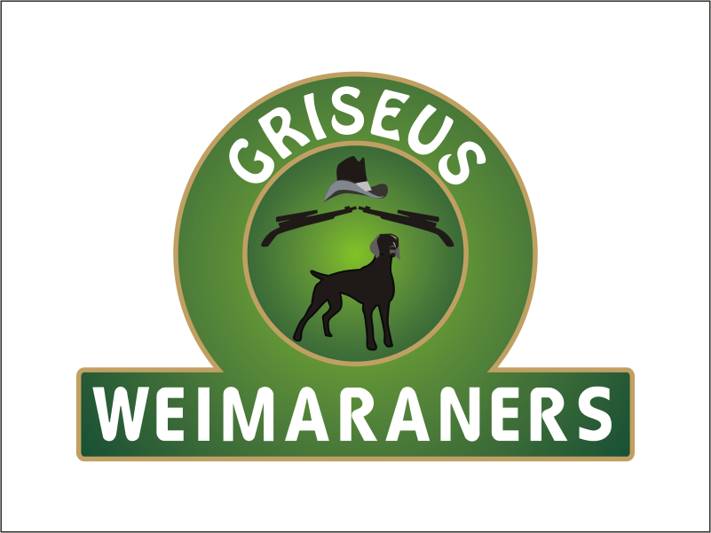 Logo Design by Blueberry for Griseus | Design #218769