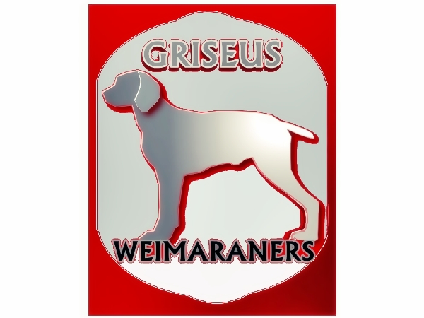 Logo Design by Mario Bianchi for Griseus | Design #214894