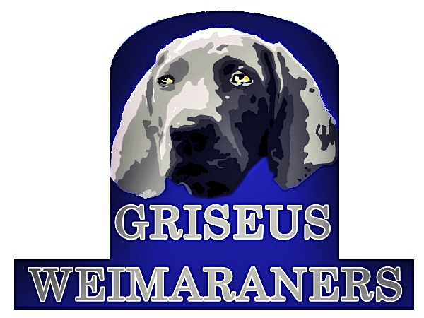 Logo Design by Mario Bianchi for Griseus | Design #215513
