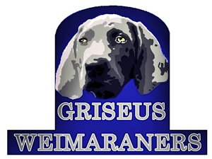 Logo Design by Mario Bianchi for Griseus | Design: #215513