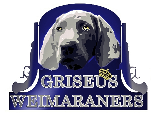 Logo Design by Mario Bianchi for Griseus | Design #215519